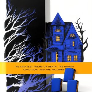 Irish Poetry for Teens: 166-Page Kindle Edition by 30- Press, LLC-0