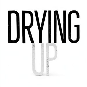 Environmental Hydrology University Press of Florida Kindle eBook-0